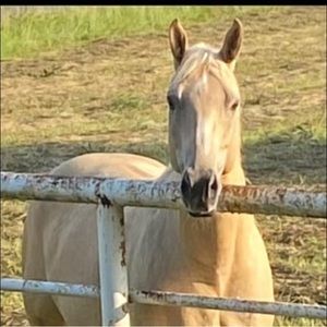 Meet your Posher, Jamie